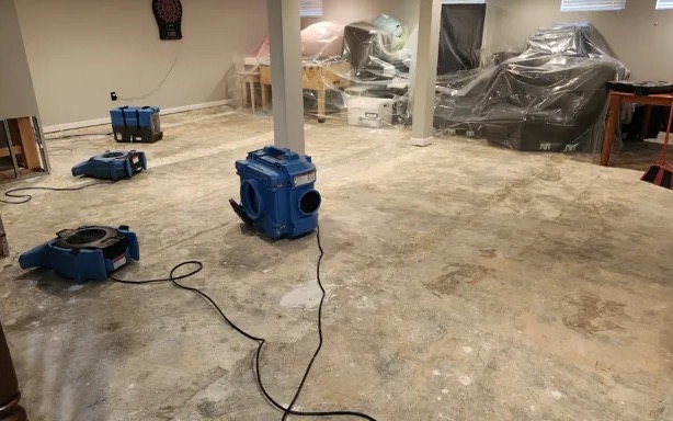 Black Mold Remediation & Removal in Naugatuck, CT